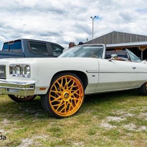 Meet your Posher, Blake